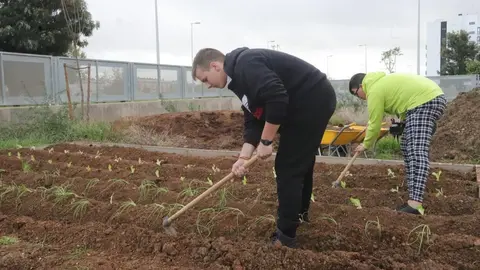 Andaluc&iacute;a impulsa el proyecto 'Aulas verdes abiertas'
