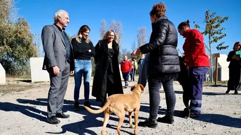 Granada ha puesto en marcha una campa&ntilde;a para la adopci&oacute;n de perros y gatos
