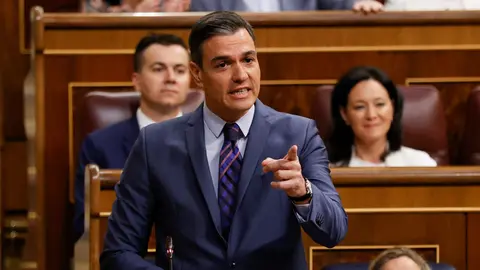 Pedro S&aacute;nchez, durante una sesi&oacute;n de control en el Congreso de los Diputados
