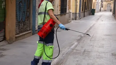 Granada reforzar&aacute; la limpieza en Navidad