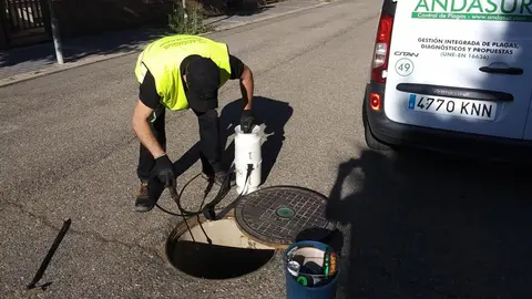 M&aacute;laga refuerza el control de plagas