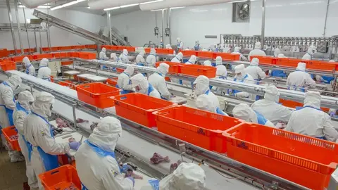 Una f&aacute;brica de Marchena necesita 300 trabajadores