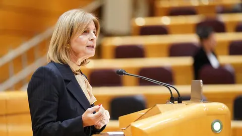 Mar&iacute;a Jos&eacute; Garc&iacute;a-Pelayo durante su intervenci&oacute;n en el Senado