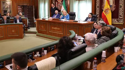 Imagen de la celebraci&oacute;n del &uacute;ltimo Pleno en el Ayuntamiento de Marbella