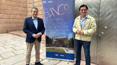 El alcalde de Ja&eacute;n, Agust&iacute;n Gonz&aacute;lez, durante la presentaci&oacute;n del proyecto