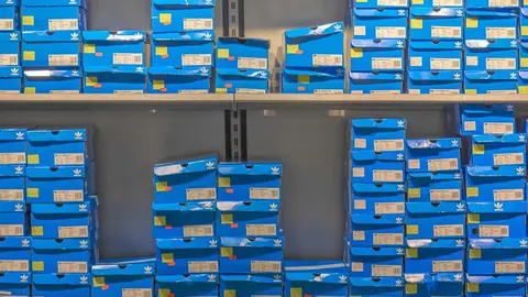 Cajas de zapatillas ADIDAS