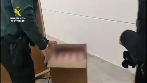 Tabaco de contrabando intervenido en Casariche