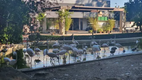 Centro para la Conservaci&oacute;n de la Biodiversidad Zoobot&aacute;nico Jerez