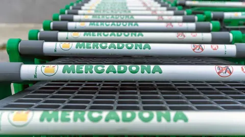 Carritos de supermercado Mercadona