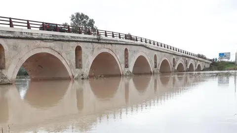 Puente de La Cartuja
