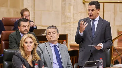 Juanma Moreno, durante una sesi&oacute;n en el Parlamento de Andaluc&iacute;a | Salvador L&oacute;pez Medina