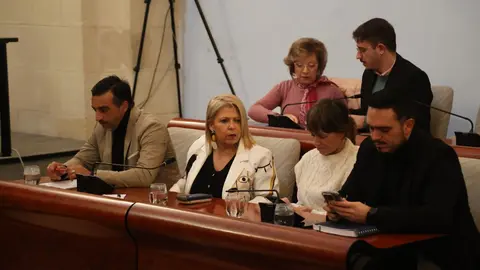 Grupo Municipal Socialista de Jerez | Cristo Garc&iacute;a