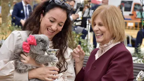 Festividad de San Ant&oacute;n en Jerez 2025 | Noelia Herrera