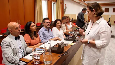 Imagen de la celebraci&oacute;n de un pleno en el Ayuntamiento de C&oacute;rdoba