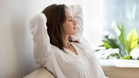 Recambio ambientador el&eacute;ctrico Ropa Limpia Bosque Verde de Mercadona