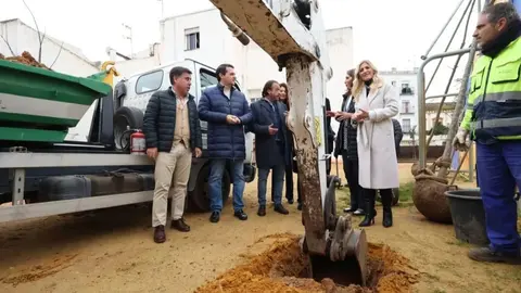 Inicio de la plantaci&oacute;n de seis almezos en el antiguo Cine Andaluc&iacute;a