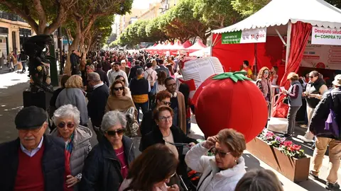 Almer&iacute;a volver&aacute; a convertirse en la capital mundial del tomate
