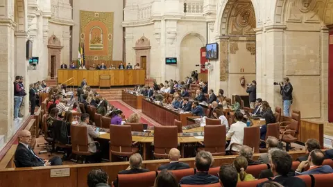 Parlamento de Andaluc&iacute;a