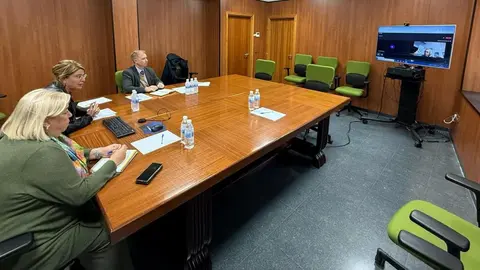 Reuni&oacute;n telem&aacute;tica entre la alcaldesa de Huelva Pilar Miranda y la consejera de Salud Roc&iacute;o Hern&aacute;ndez