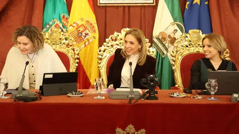 Almudena Mart&iacute;nez, presidiendo el pleno de la Diputaci&oacute;n de C&aacute;diz | Cristo Garc&iacute;a
