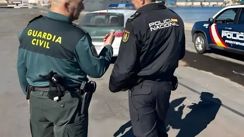 Guardia Civil y Polic&iacute;a Nacional
