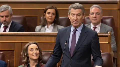 El presidente del PP, Alberto N&uacute;&ntilde;ez Feij&oacute;o, durante un pleno en el Congreso de los Diputados