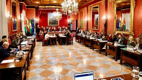 Imagen de la celebraci&oacute;n del pleno en el Ayuntamiento de Granada