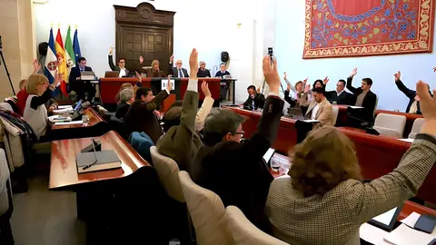 Votaci&oacute;n en el Pleno del Ayuntamiento de Jerez