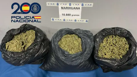 Marihuana intervenida en Jerez