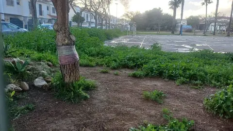 La borrasca Jana a su paso por Jerez