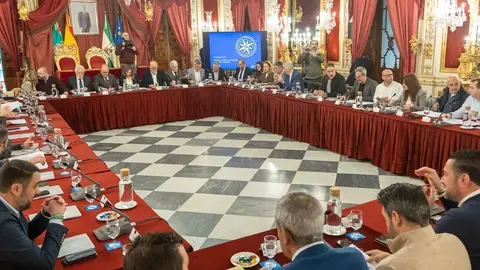 Imagen de la celebraci&oacute;n del Consejo de Alcald&iacute;as | Cristo Garc&iacute;a