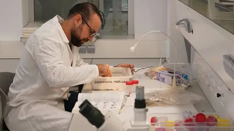 Cient&iacute;ficos trabajando en los laboratorios de la nueva sede del Centro Oceanogr&aacute;fico, a 23 de octubre de 2024 en M&aacute;laga