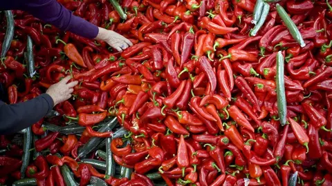 Almer&iacute;a, un referente nacional en exportaciones