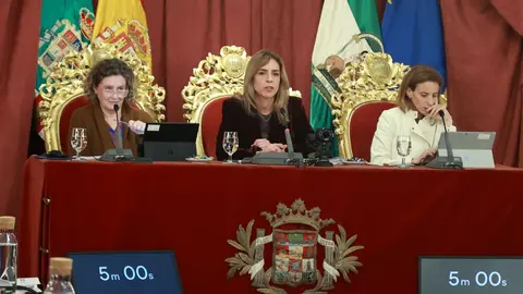 La Diputaci&oacute;n de C&aacute;diz moviliza m&aacute;s de 23,5 millones para dinamizar la econom&iacute;a provincial | Cristo Garc&iacute;a