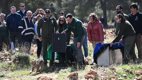 Juanma Moreno libera a un lince ib&eacute;rico