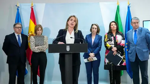 Almudena Mart&iacute;nez, presidenta de la Diputaci&oacute;n de C&aacute;diz, durante su intervenci&oacute;n