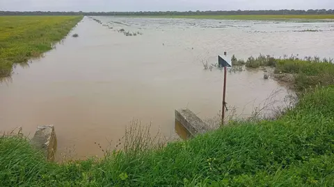 Ca&ntilde;o Mart&iacute;n Ruiz