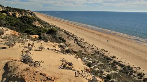 Duna f&oacute;sil en Do&ntilde;ana