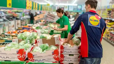 Lidl se encuentra buscando trabajadores en Andaluc&iacute;a