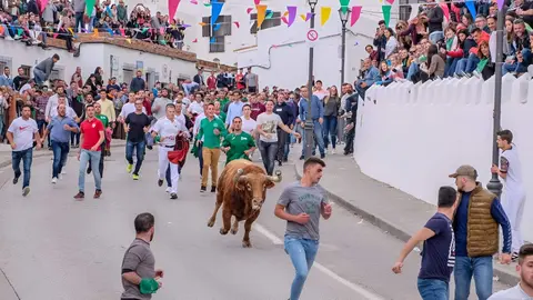 Toro Embolao en Vejer