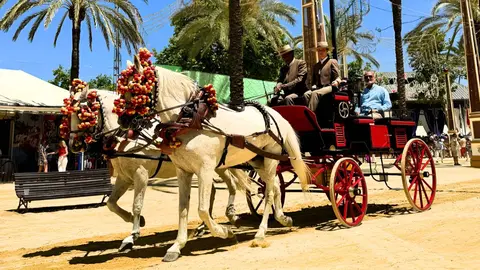 Feria del Caballo