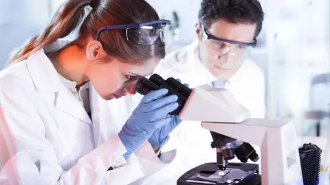 Investigadores en una universidad