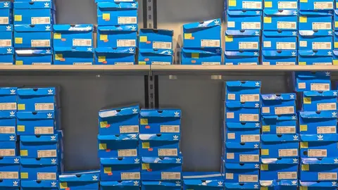 Cajas de zapatillas Adidas