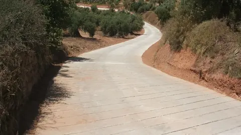 Imagen de un camino rural de Andaluc&iacute;a