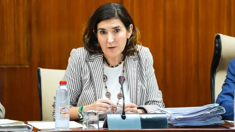 La consejera de Empleo de la Junta de Andaluc&iacute;a, Roc&iacute;o Blanco