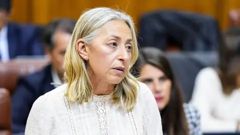 La consejera Roc&iacute;o Hern&aacute;ndez