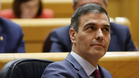 Pedro S&aacute;nchez ha vuelto a perder otra batalla en el Senado