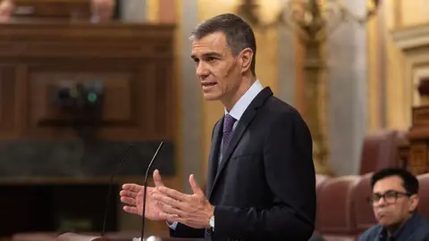 Pedro S&aacute;nchez, durante su comparecencia en el Congreso de los Diputados