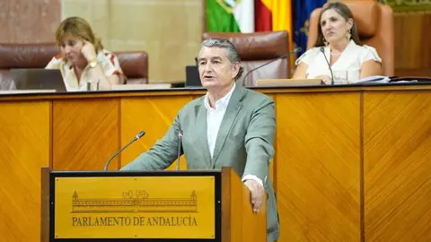 Antonio Sanz, durante su comparecencia en el Parlamento andaluz