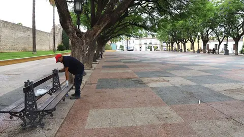 Operarios trabajando en la Alameda Vieja